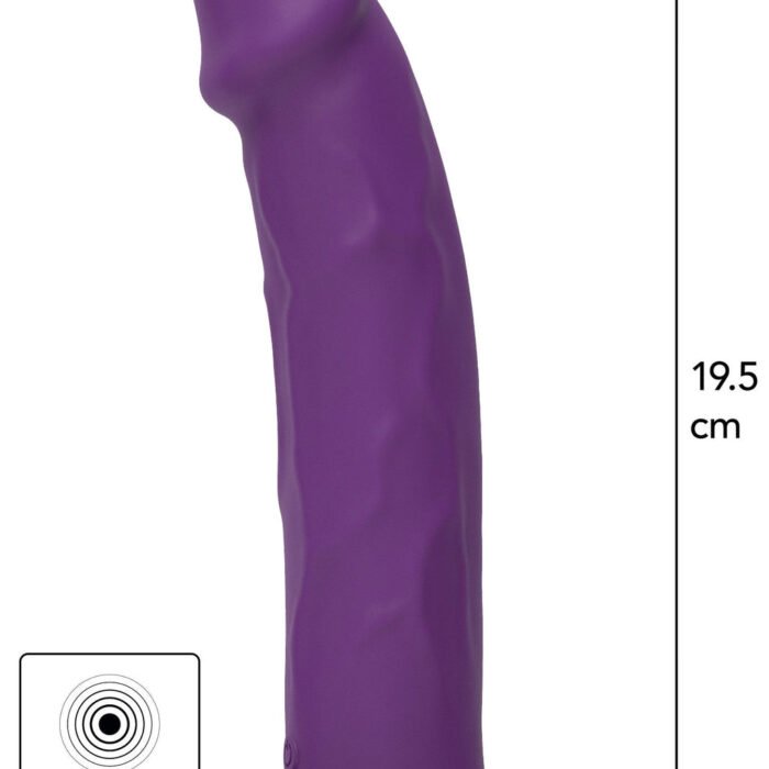 10150_PURPLE_01-1.jpg 10150_PURPLE_01-1.jpg