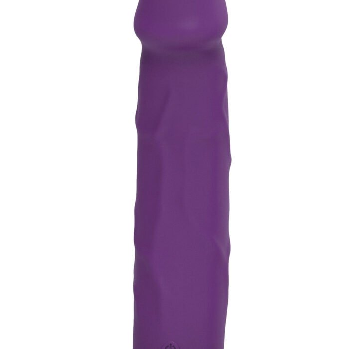 10150_PURPLE_03-1.jpg 10150_PURPLE_03-1.jpg
