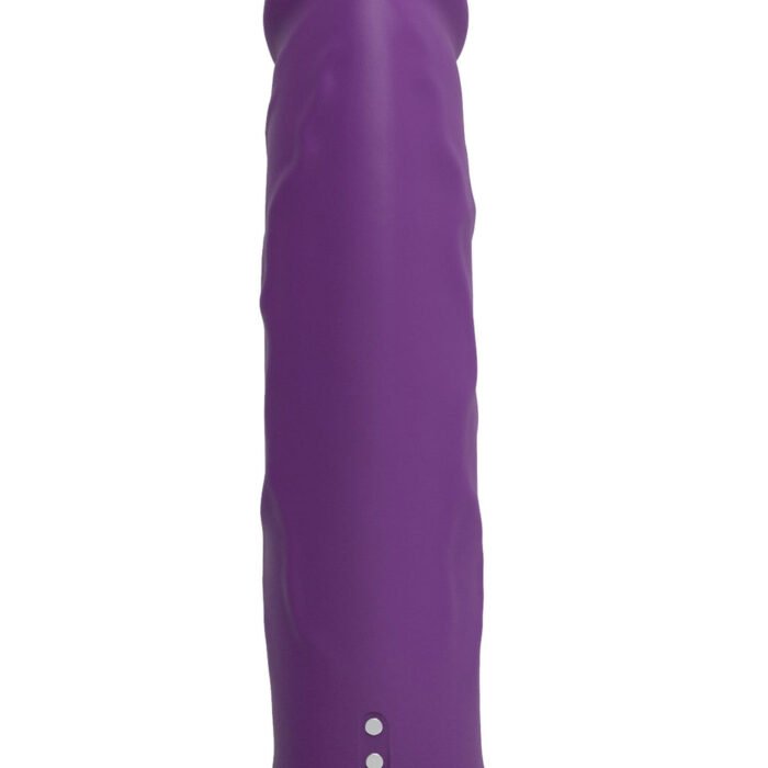 10150_PURPLE_05-1.jpg 10150_PURPLE_05-1.jpg