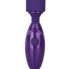 12025_PURPLE_01-1.jpg