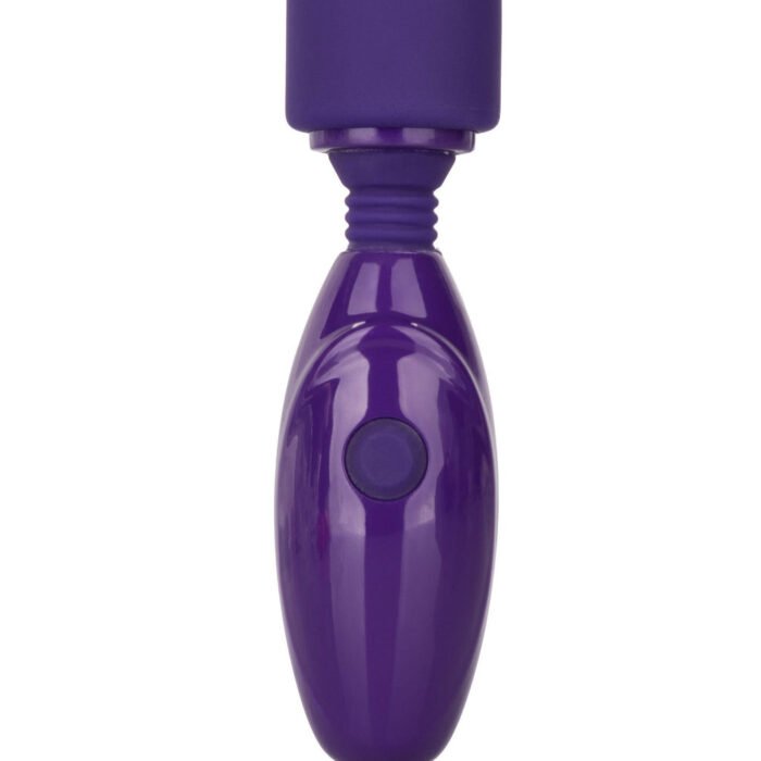 12025_PURPLE_01-1.jpg 12025_PURPLE_01-1.jpg