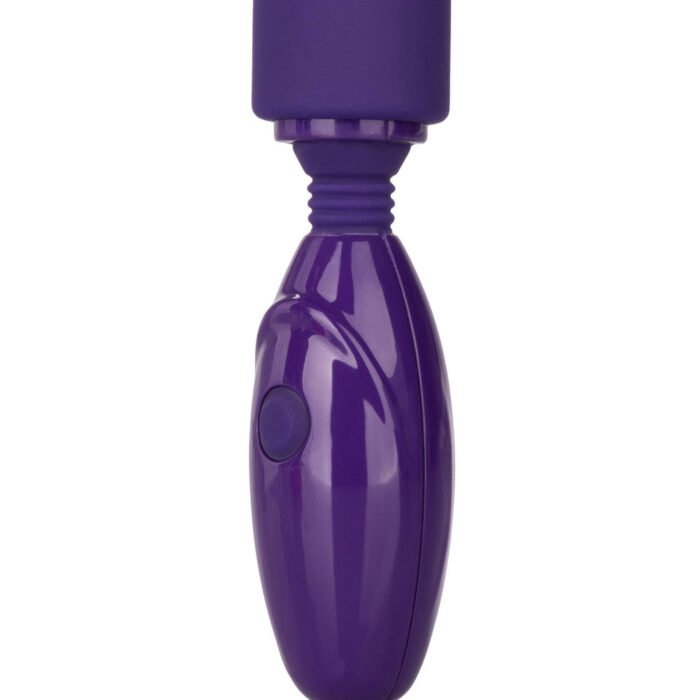 12025_PURPLE_03-1.jpg 12025_PURPLE_03-1.jpg