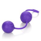 12483_PURPLE_01-1.jpg