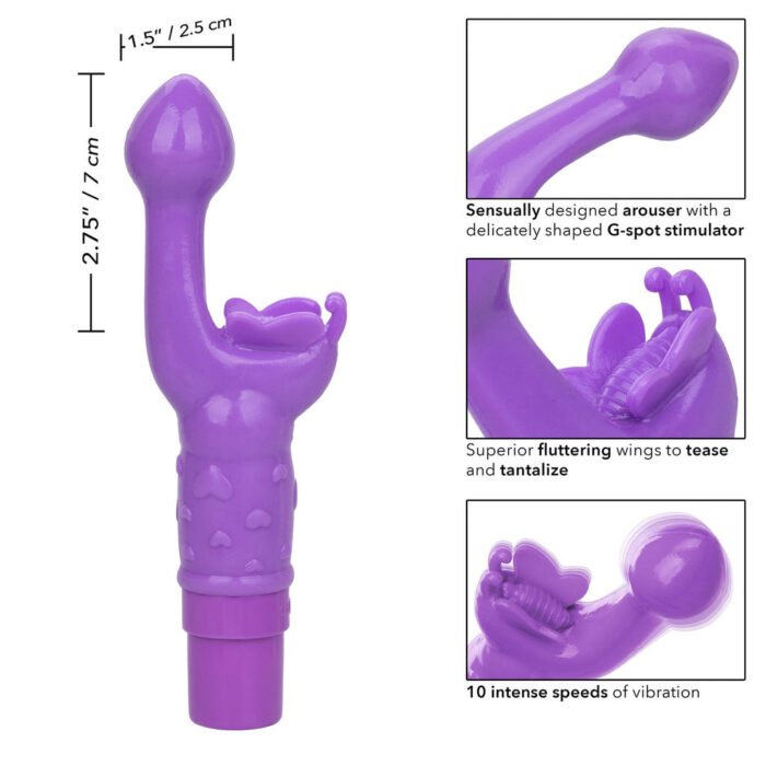12529_PURPLE_010-1.jpg 12529_PURPLE_010-1.jpg