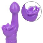 12529_PURPLE_09-1.jpg