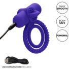 12837_PURPLE_09-1.jpg