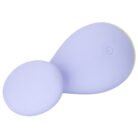 13804_PURPLE_05-1.jpg