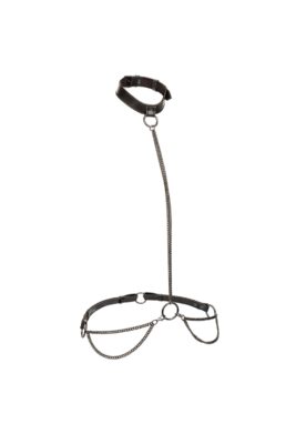 Chain Halter & Collar - Black