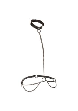 Chain Halter & Collar Plus