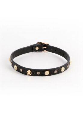 Alina Collar