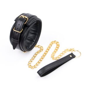 Collar with Leash Black/Gold - Black / Gold