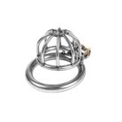 2136203401_01_1_2-1.png