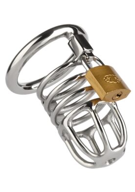 Master Chastity Cock Cage - SILVER
