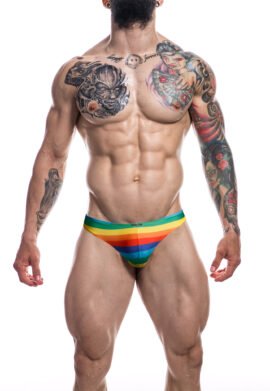 Low Rise Bikini Brief - L - Rainbow