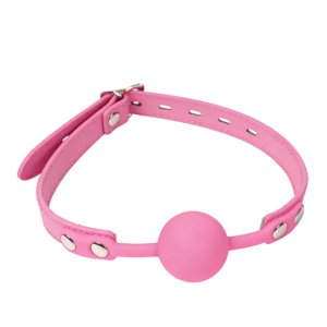 Silicone Mouth Gag Pink