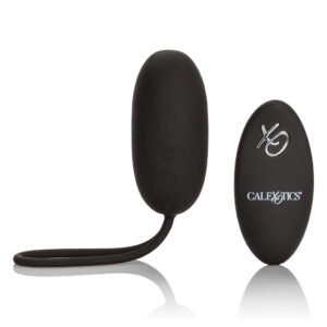 Remote Rechargeable Egg