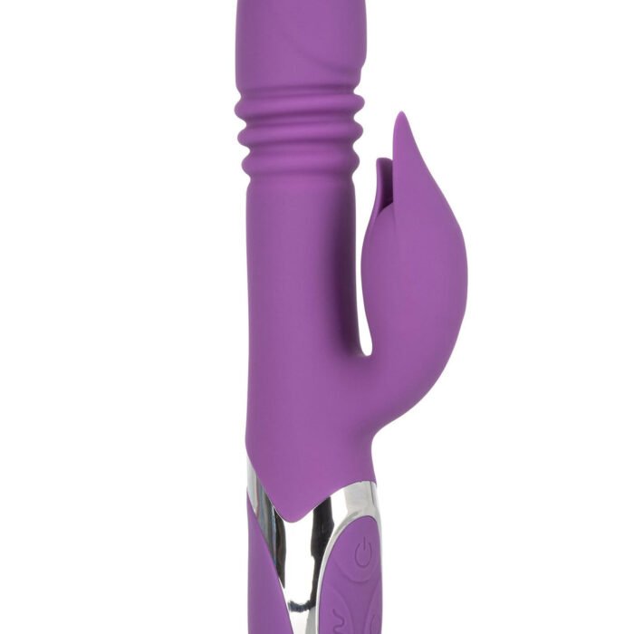 14092_PURPLE_01.jpg