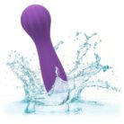 14945_PURPLE_011.jpg