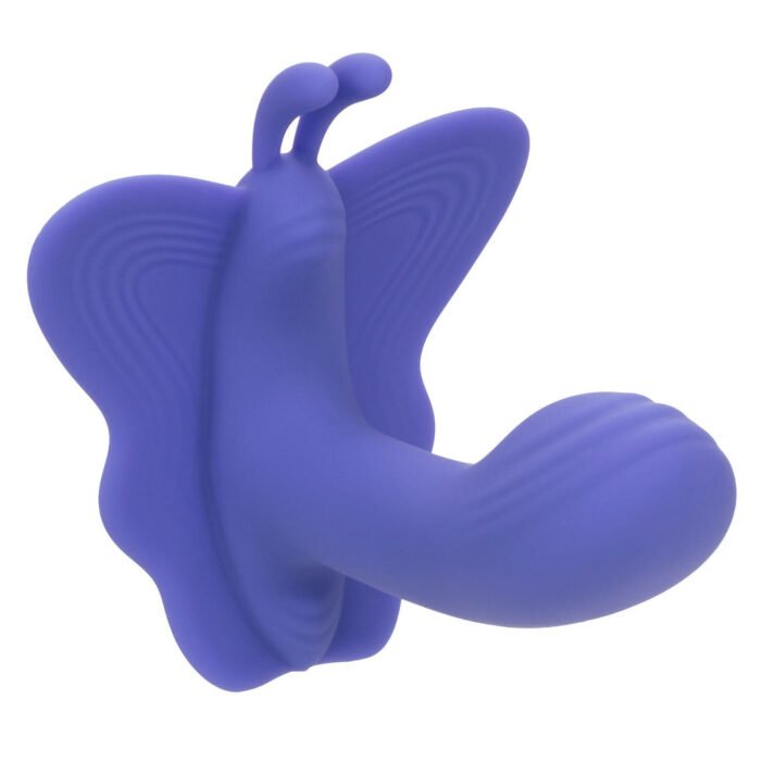 16733_PURPLE_01.jpg