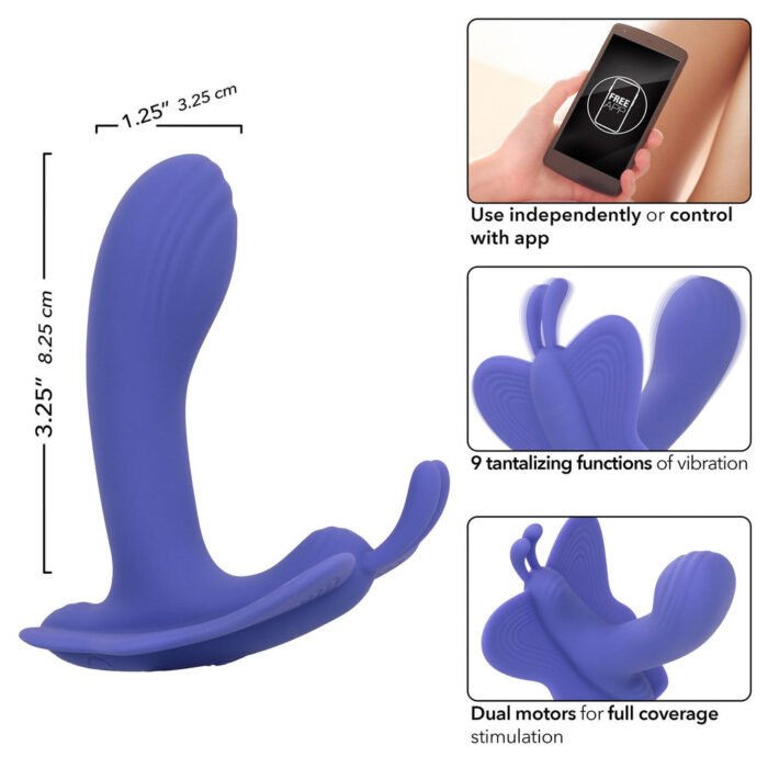16733_PURPLE_05.jpg
