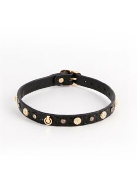 Alina Collar