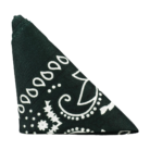 3703-09-CD-5.png