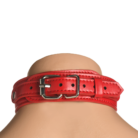 AH656-RED-5.png