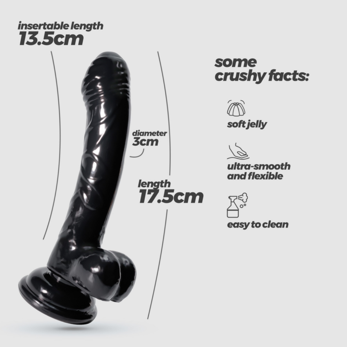 EX24372-12.png EX24372-12.png