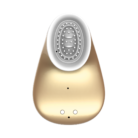 INN001GLD-5.png