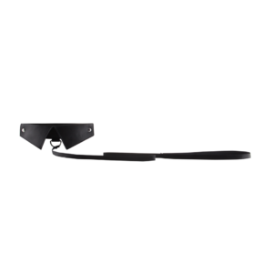 Exclusive Collar  Leash