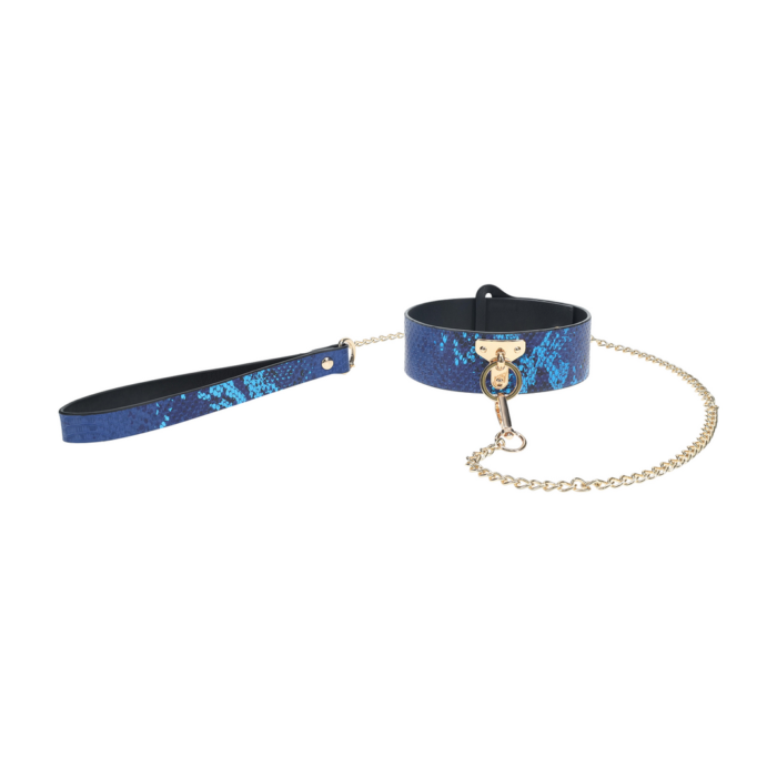 OU998BLU-5.png OU998BLU-5.png