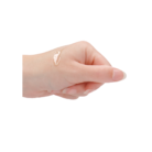 PHA300_3_1.png