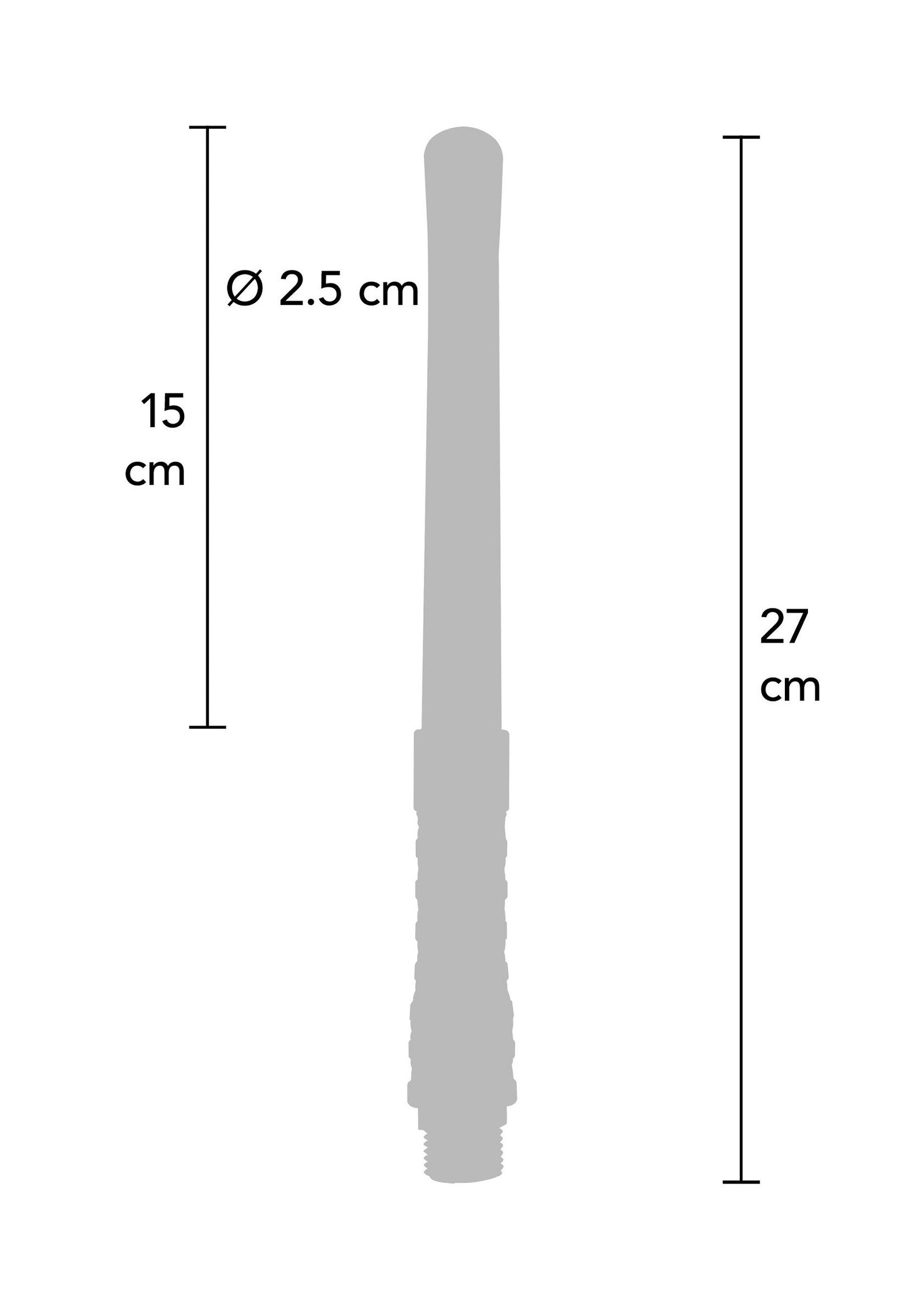 The Geyser Anal Douche 15 cm 4