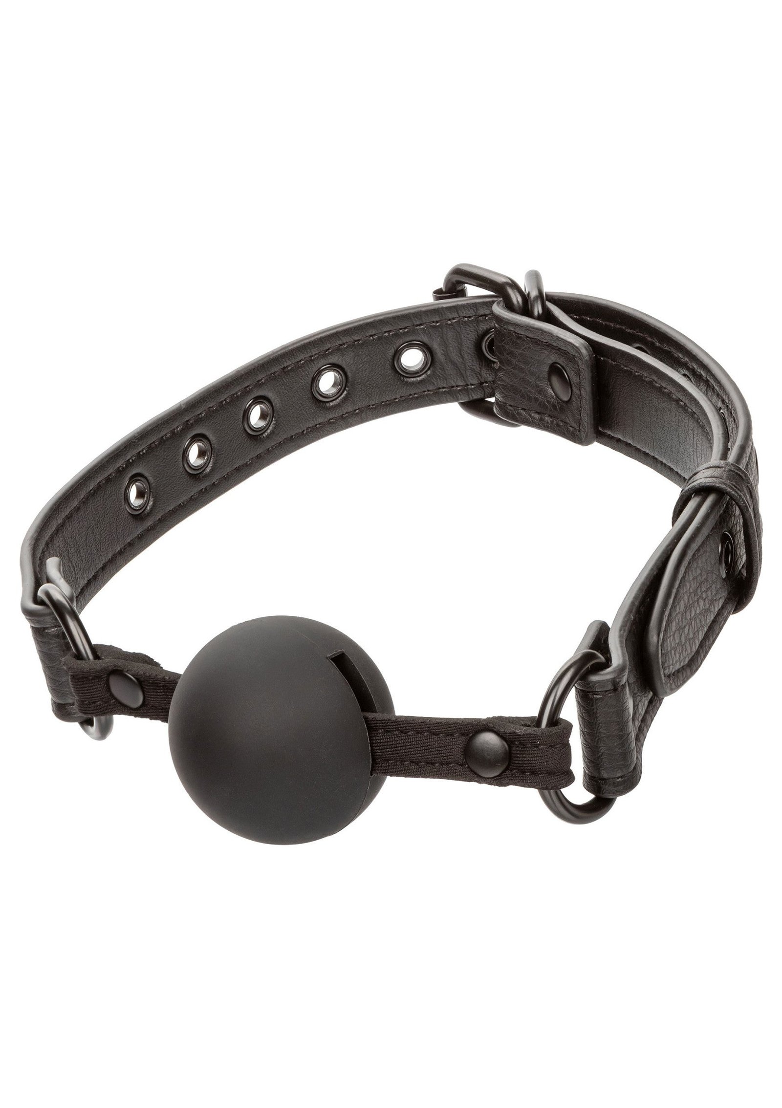 Nocturnal Ball Gag 1