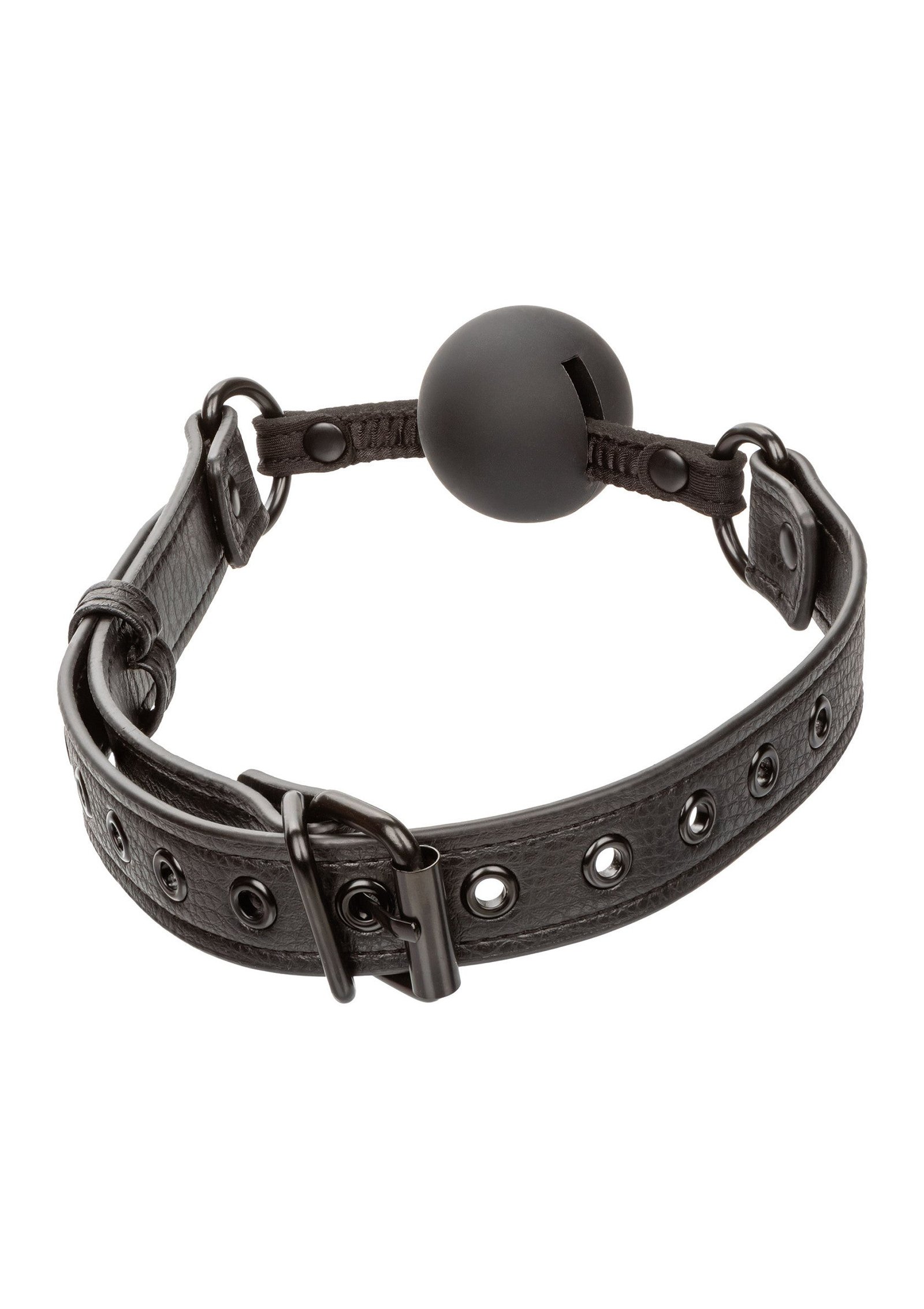 Nocturnal Ball Gag 6