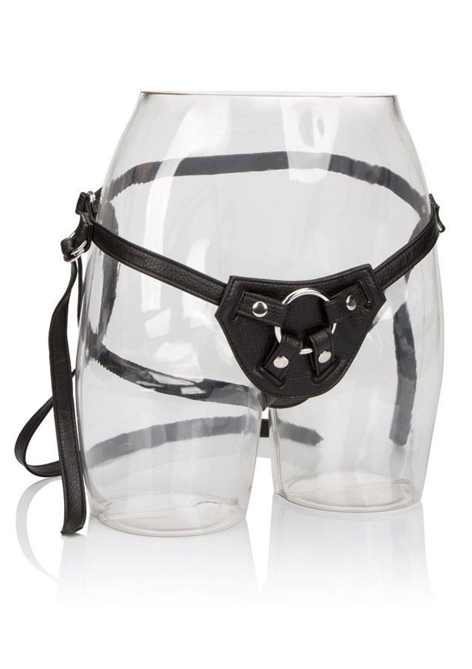 Her Royal Harness The Countess 1