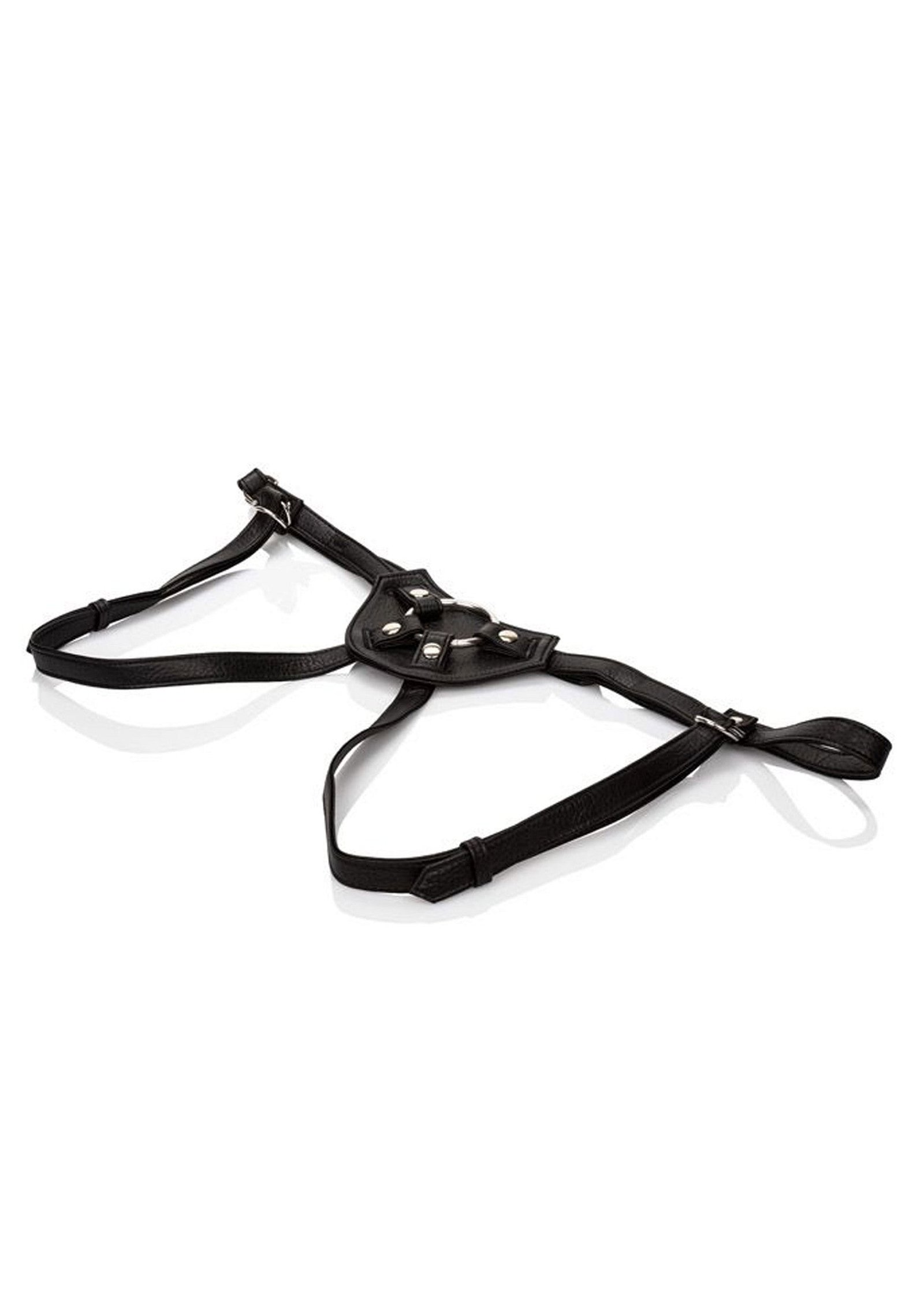 Her Royal Harness The Countess 4