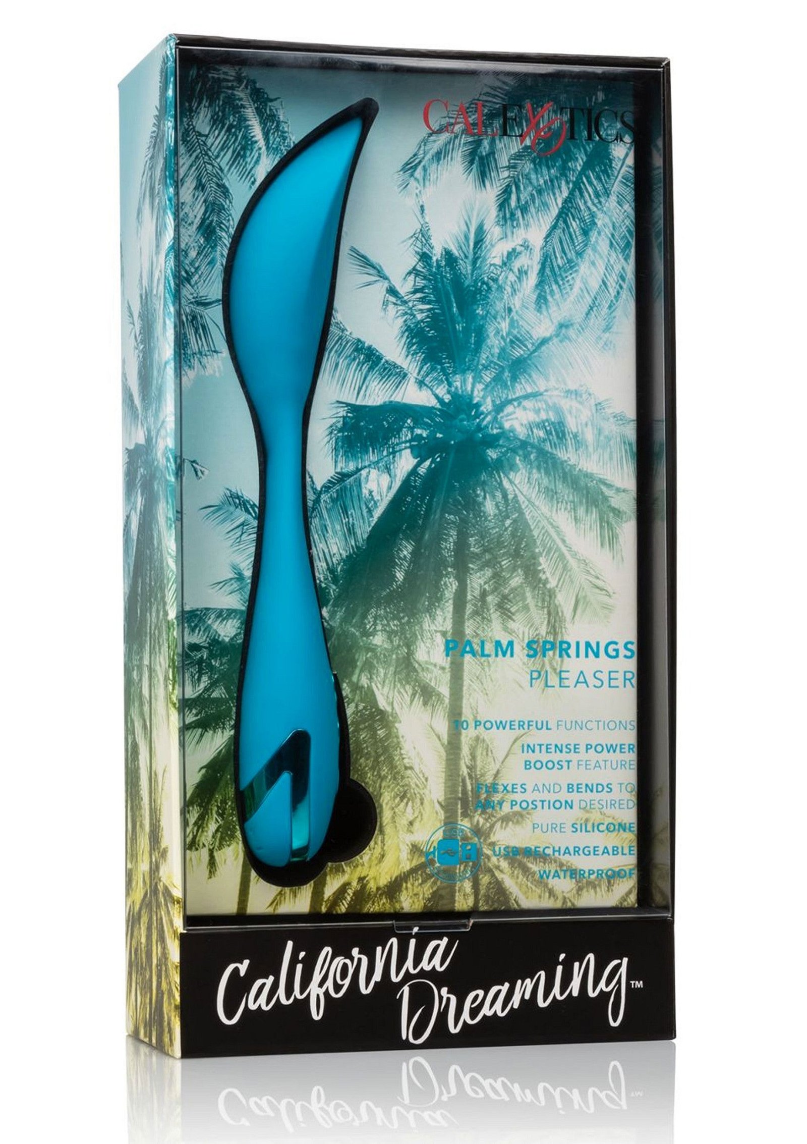 Palm Springs Pleaser 3