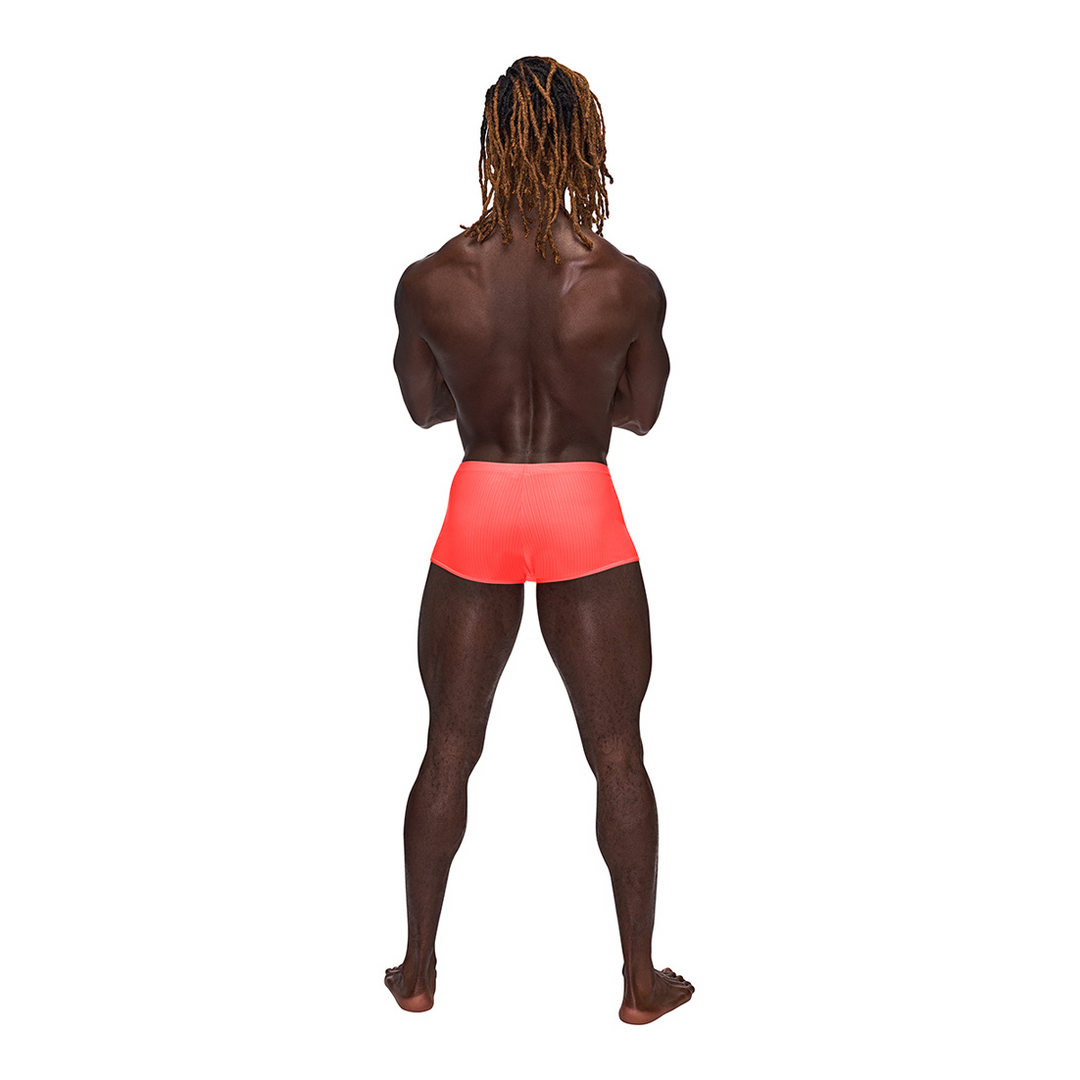 Barely There Mini Short - XL 3