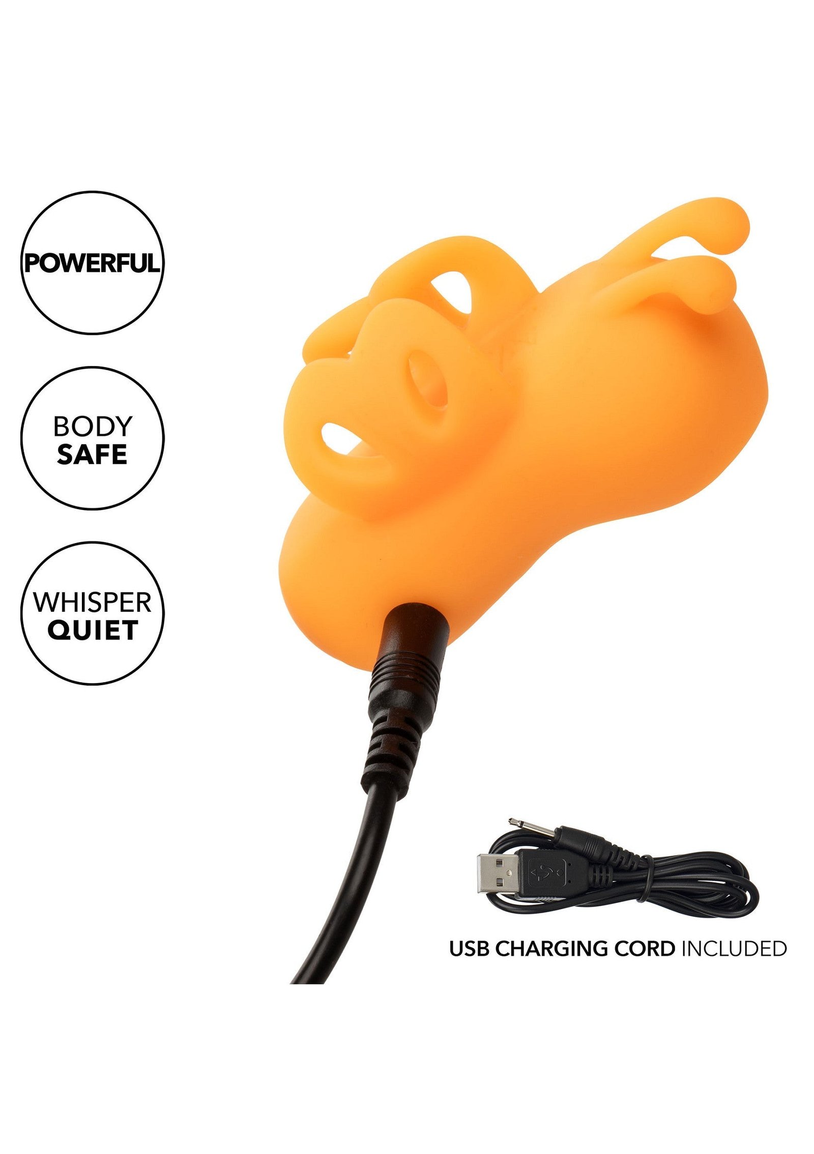 The Buzzing Vibrator 6