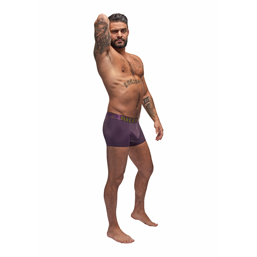 Enhancer Short - L - Eggplant 3