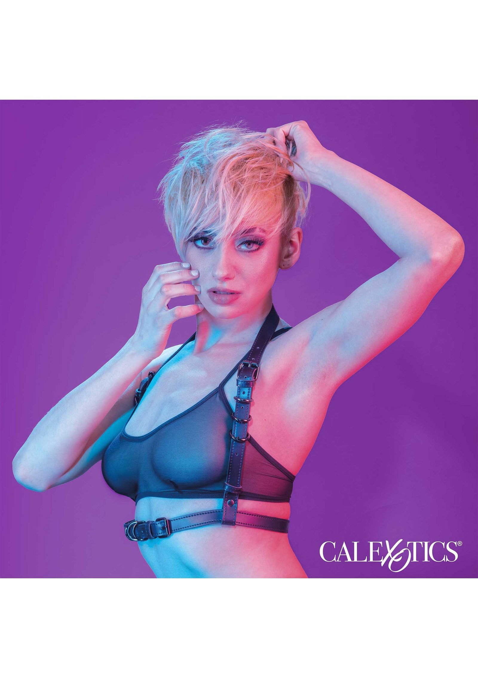 Halter Buckle Harness 6