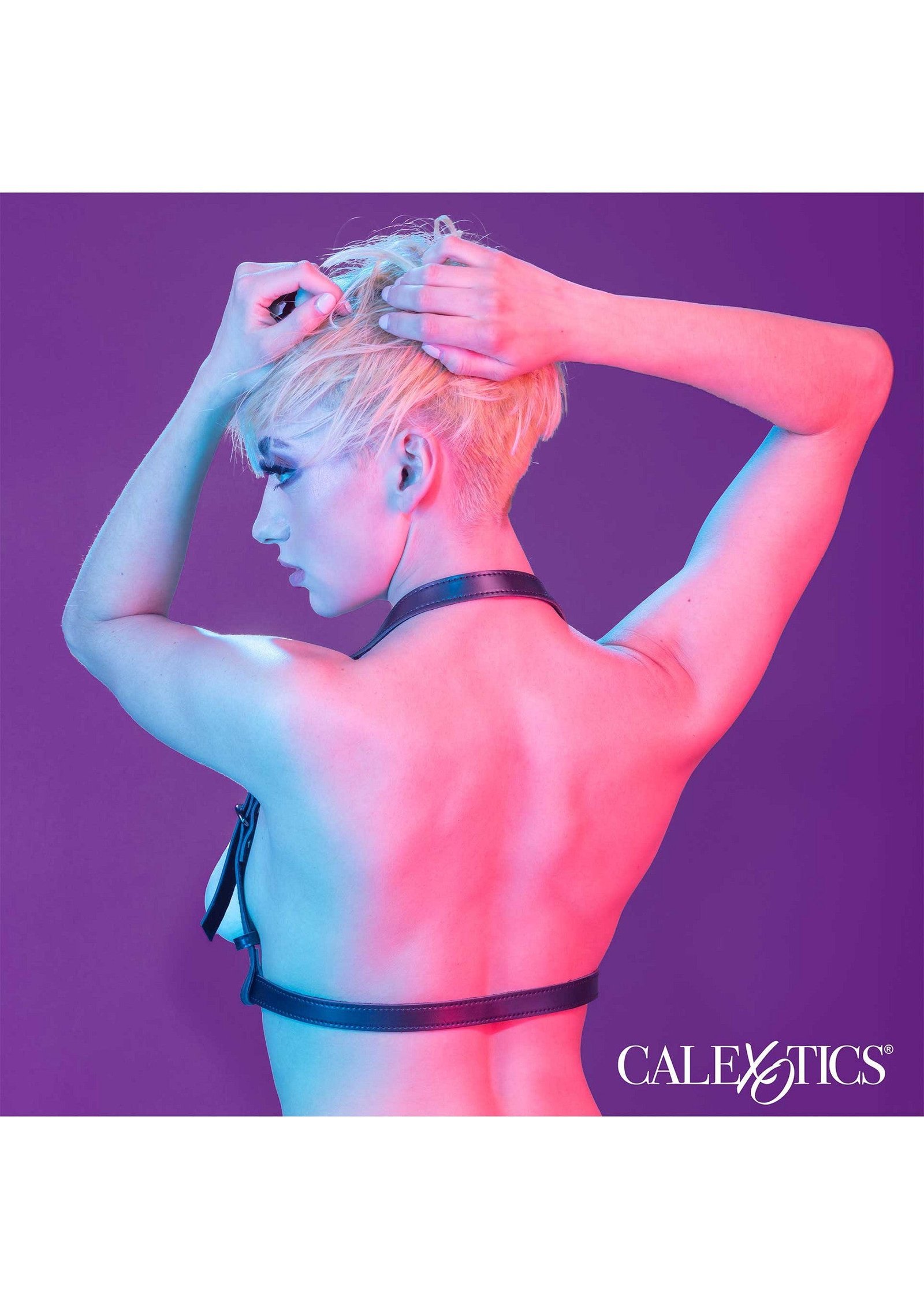Halter Buckle Harness 2