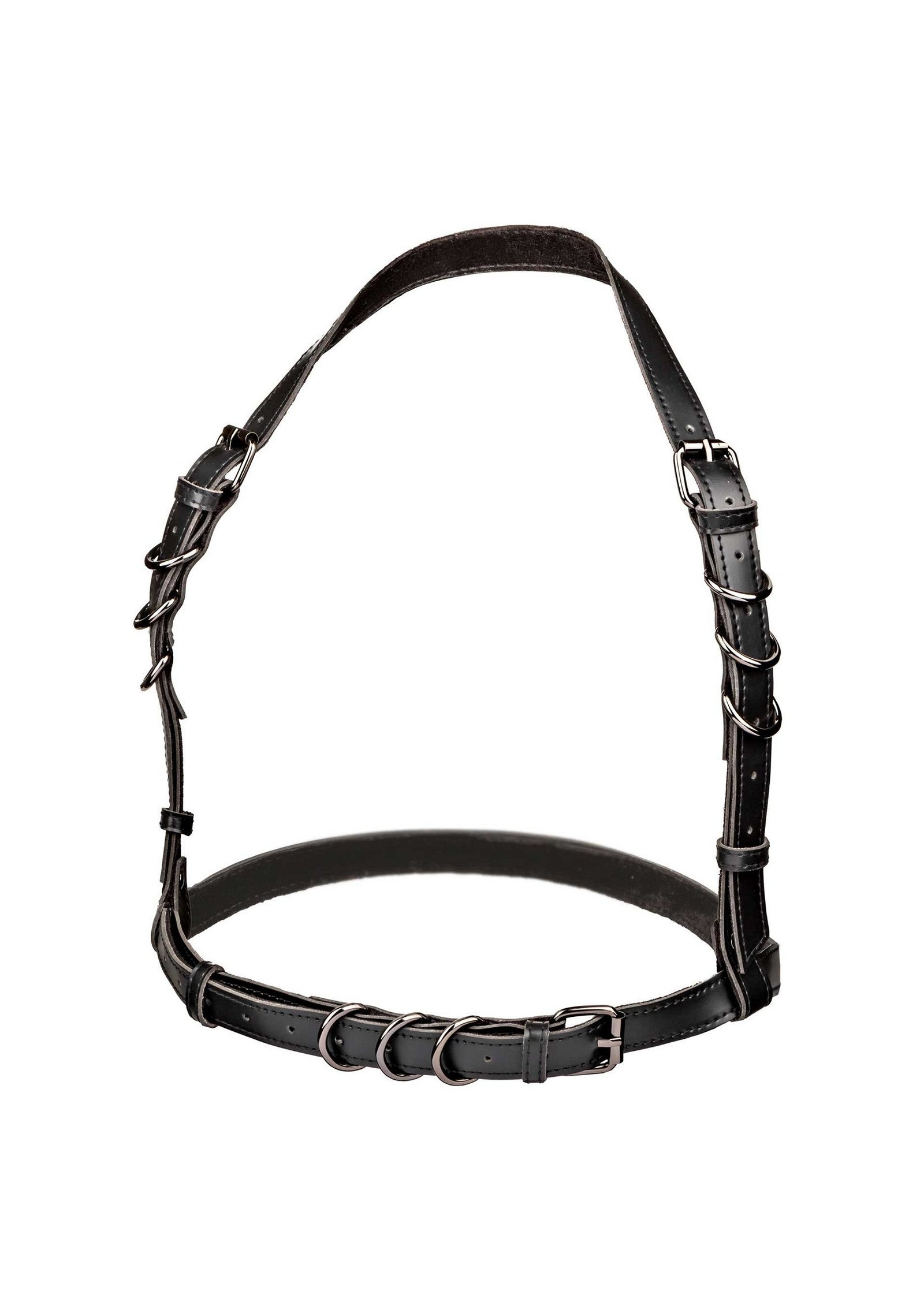 Halter Buckle Harness Plus 1