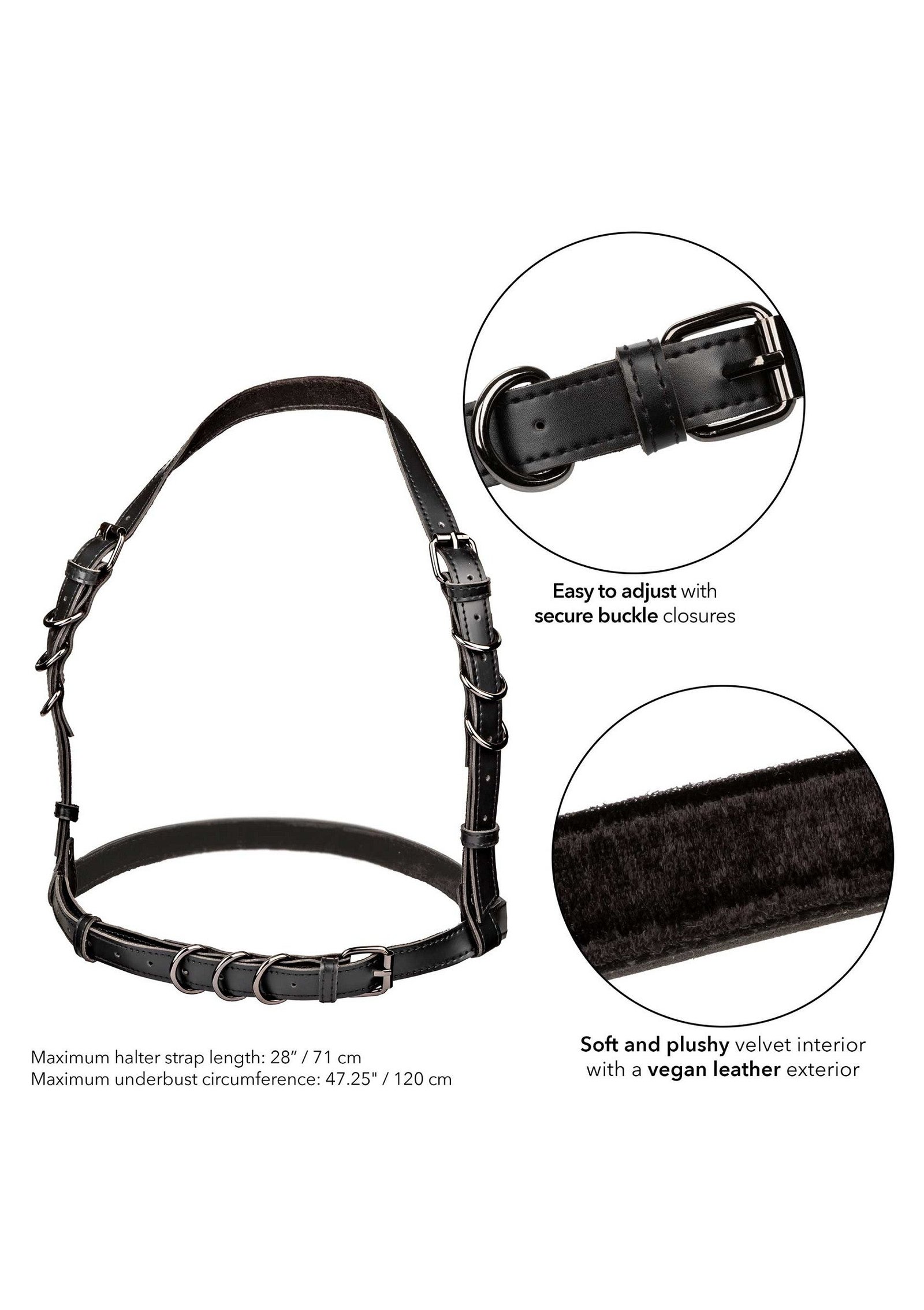 Halter Buckle Harness Plus 4