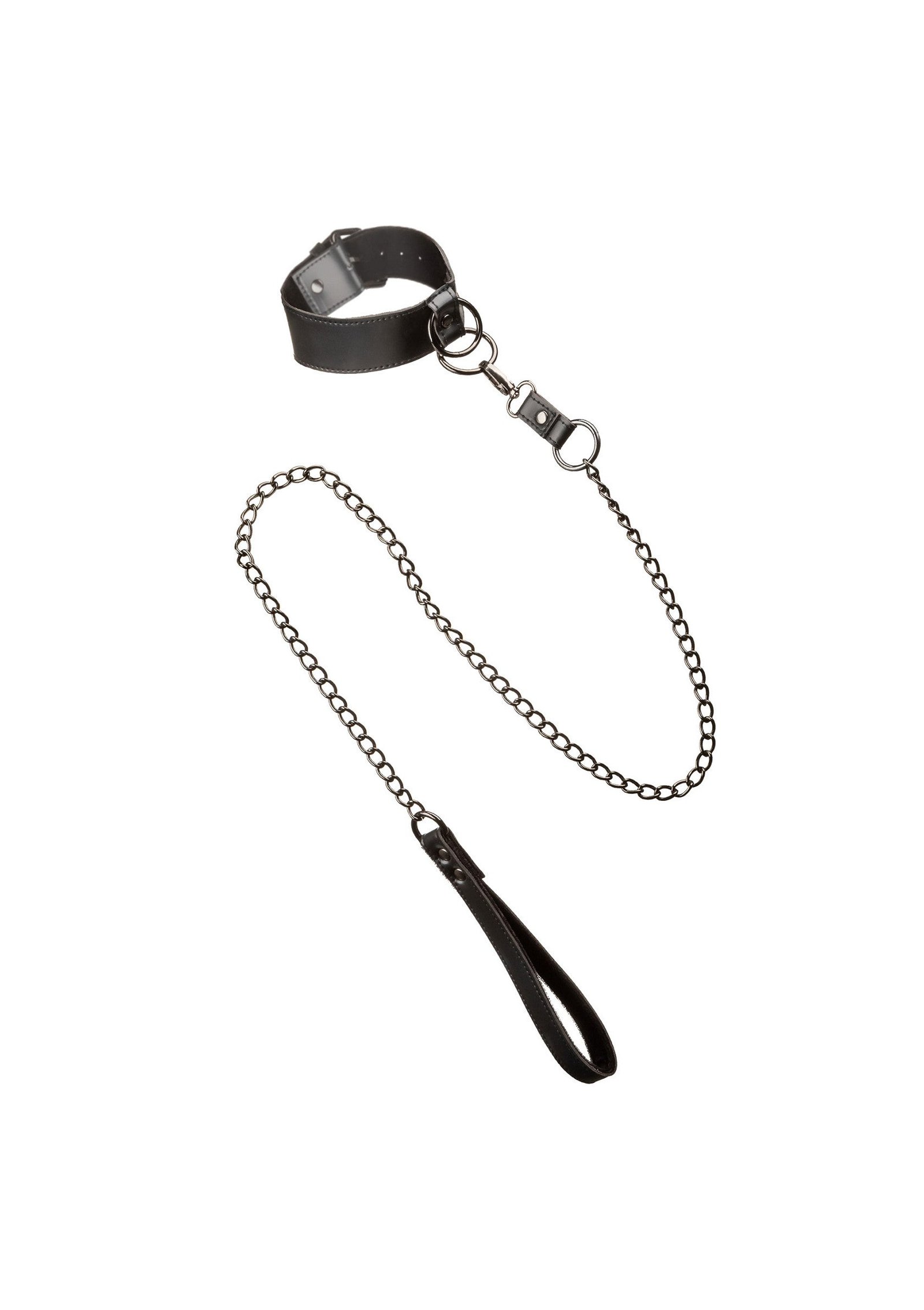Collar With Chain Leash 1