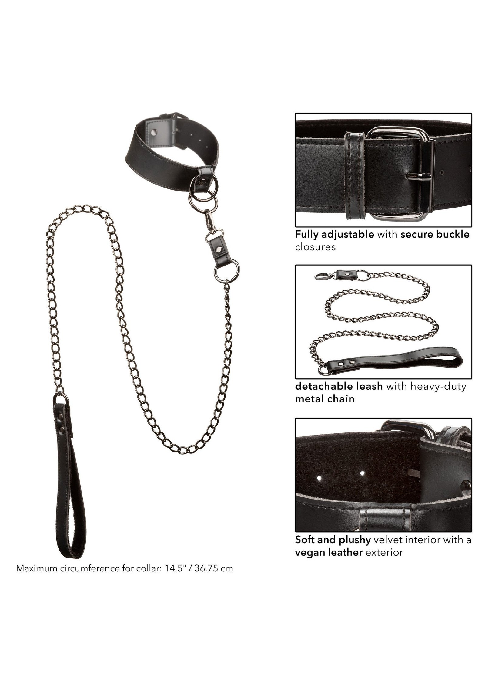 Collar With Chain Leash 4
