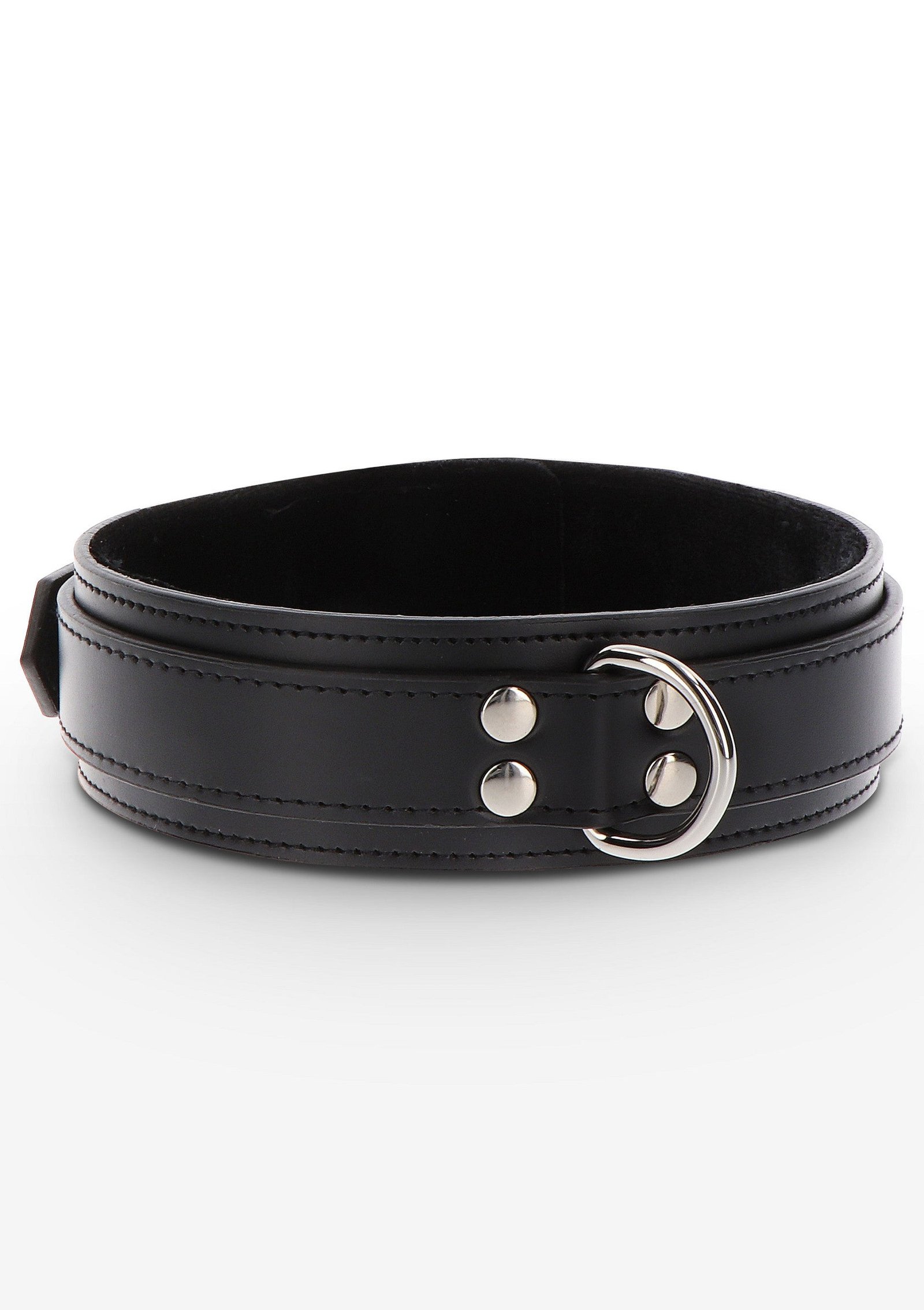 Heavy D-Ring Collar 1