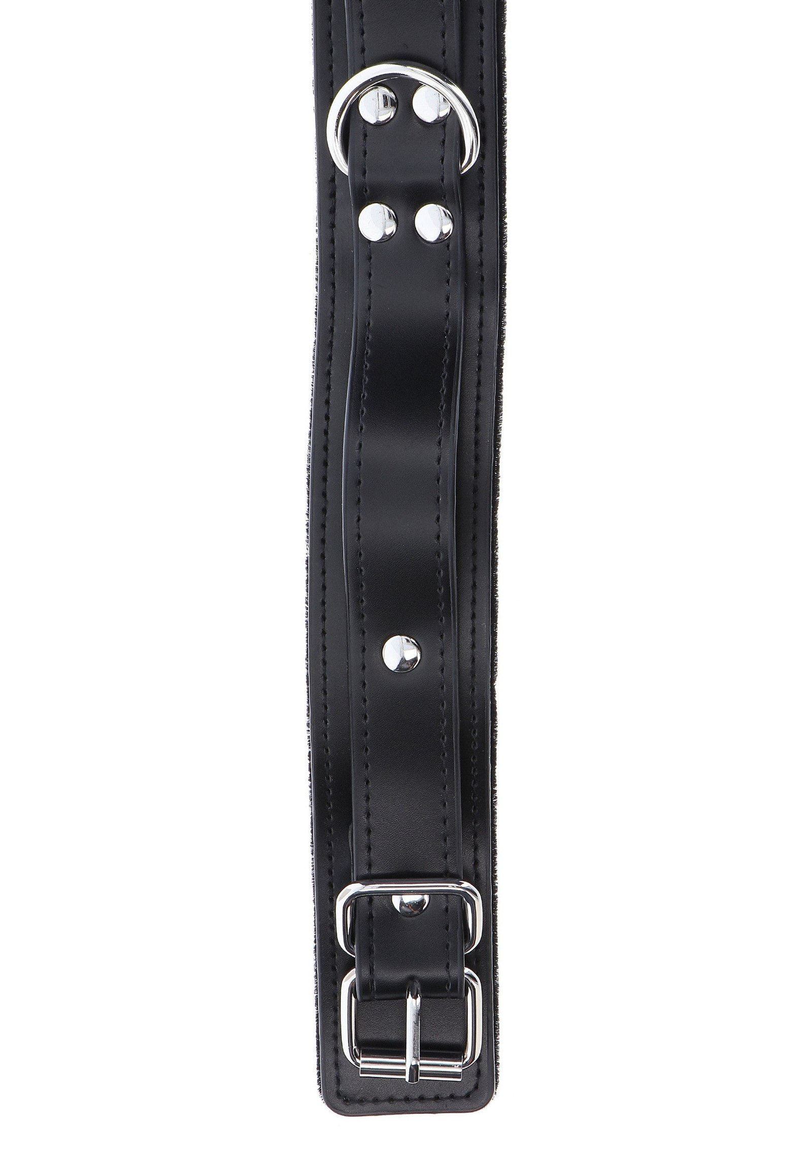 Heavy D-Ring Collar 5