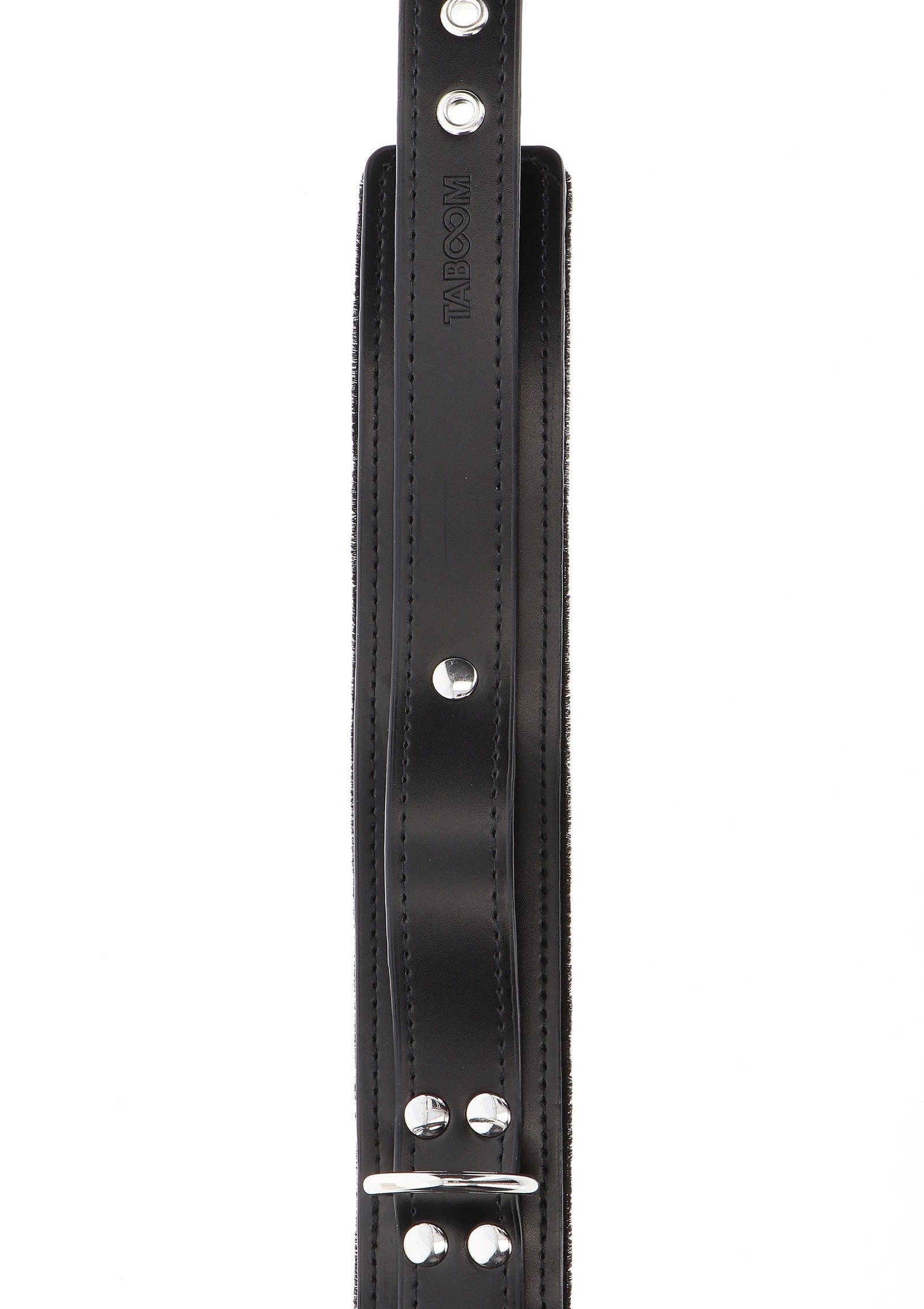 Heavy D-Ring Collar 2